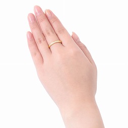 ���������꡼ No.003�Υ���ͥ������ / ��ʸ��ȥ��륱�ߥ��ȡס�����ܥ���С���󥰤���������򳫻�