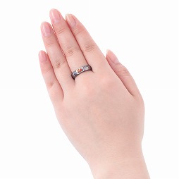 ���������꡼ No.008�Υ���ͥ������ / ��ʸ��ȥ��륱�ߥ��ȡס�����ܥ���С���󥰤���������򳫻�