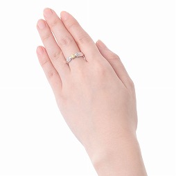 ���������꡼ No.014�Υ���ͥ������ / ��ʸ��ȥ��륱�ߥ��ȡס�����ܥ���С���󥰤���������򳫻�