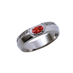 ���������꡼ No.004�Υ���ͥ������ / ��ʸ��ȥ��륱�ߥ��ȡפΥ���ܥ��奨�꡼��5�Ƥ��о졣�����������䳫��