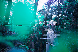 ꡼ No.008Υͥ / ҶФμ͸֥ƥϷʤפۿ