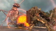 ���������꡼ No.021�Υ���ͥ������ / ���ϵ��ɱҷ�5�ס����ѳ����ʤ����������ե��󥵡��ȹҶ�����ʤɤ�ͶƳ�Ǥ��륨���쥤����������������