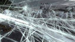 画像ギャラリー No.041のサムネイル画像 / 「地球防衛軍5」の追加ミッションパック第1弾が4月11日に登場。登場エネミー&新武器を公開