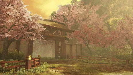 ꡼ No.010 | ̵СפѤȥ٥ȥ󤬸省饯Υץե