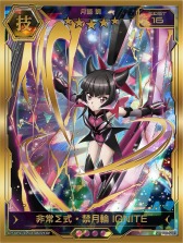 ꡼ No.009Υͥ / ɱ侧եXD UNLIMITEDסTGS 2017νŸ