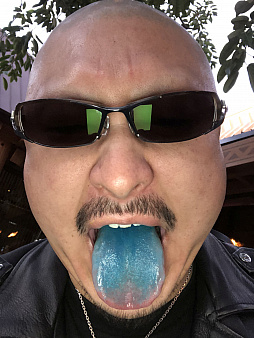 ꡼ No.025 | ޥեĤ󼡸褤394֤Ȥ̴ιήСǡĴ١