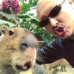 画像ギャラリー No.014のサムネイル画像 / マフィア梶田の二次元が来い!:第398回「GOHO的にMCをこなす電脳少女の悪魔的生放送」