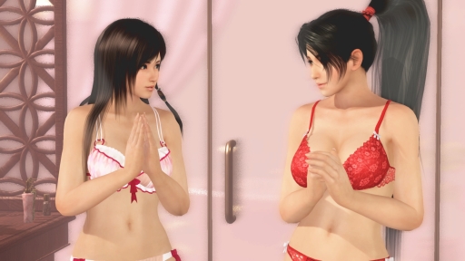 ���������꡼ No.003�Υ���ͥ������ / ��DOAX Venus Vacation�פǡ֥ϥ����Υ������ʸ�Ⱦ�ˡס��֤ۤΤ��ԥå����åץ�����פ�����