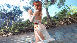 ���������꡼ No.004�Υ���ͥ������ / ��DEAD OR ALIVE Xtreme Venus Vacation�ס���SSR����֤����ۤ������פ��ɲ�