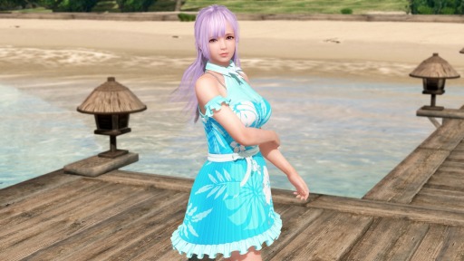 ���������꡼ No.004�Υ���ͥ������ / ��DOAXVV�ס��ָ���������TGS��ĥ��ǰ�����ڡ���פ�»�