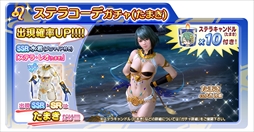 ���������꡼ No.005�Υ���ͥ������ / ��DOAXVV�ס���2��ǯľ���������ʡ��ͱ��祭���ڡ�����1�ơפ�������������