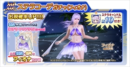 ���������꡼ No.006�Υ���ͥ������ / ��DOAXVV�ס���2��ǯľ���������ʡ��ͱ��祭���ڡ�����1�ơפ�������������