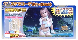 ���������꡼ No.008�Υ���ͥ������ / ��DOAXVV�ס���2��ǯľ���������ʡ��ͱ��祭���ڡ�����1�ơפ�������������