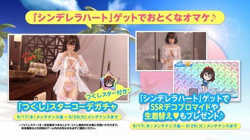 ꡼ No.003 | DOAXVVפǡSSRȤۤΤɤ뿷祭ڡ2Ƥ