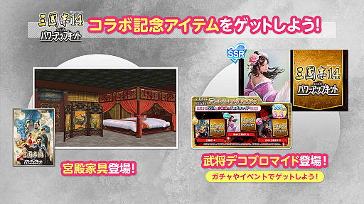 ���������꡼ No.012�Υ���ͥ������ / ��DEAD OR ALIVE XVV�ס��Ȼ�Ԣ��14 with �ѥ���åץ��åȡɤȤΥ���ܤ����ϡ�12��15���ˤϸ������Ȥ��ۿ���