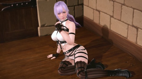 ꡼ No.039Υͥ / DEAD OR ALIVE Xtreme Venus VacationפˡȤƥƥʤĤо졣ʥǿʥȡ꡼˥