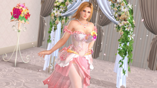 ���������꡼ No.007�Υ���ͥ������ / ��DOAXVV�ס��ؽ��ܰ����󤬽б餹����33�������������2��21���˼»ܡ��ȥե������ǥ󥭥��ڡ���ɳ�����