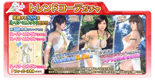 ���������꡼ No.008�Υ���ͥ������ / ��DOAXVV�ס��ؽ��ܰ����󤬽б餹����33�������������2��21���˼»ܡ��ȥե������ǥ󥭥��ڡ���ɳ�����