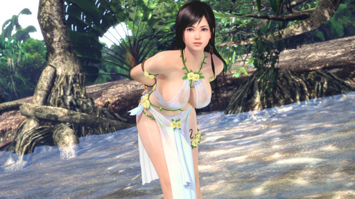 ���������꡼ No.009�Υ���ͥ������ / ��DOAXVV�ס��ؽ��ܰ����󤬽б餹����33�������������2��21���˼»ܡ��ȥե������ǥ󥭥��ڡ���ɳ�����