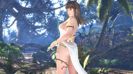 ���������꡼ No.010�Υ���ͥ������ / ��DOAXVV�ס��ؽ��ܰ����󤬽б餹����33�������������2��21���˼»ܡ��ȥե������ǥ󥭥��ڡ���ɳ�����