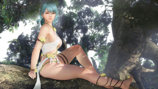 ���������꡼ No.013�Υ���ͥ������ / ��DOAXVV�ס��ؽ��ܰ����󤬽б餹����33�������������2��21���˼»ܡ��ȥե������ǥ󥭥��ڡ���ɳ�����