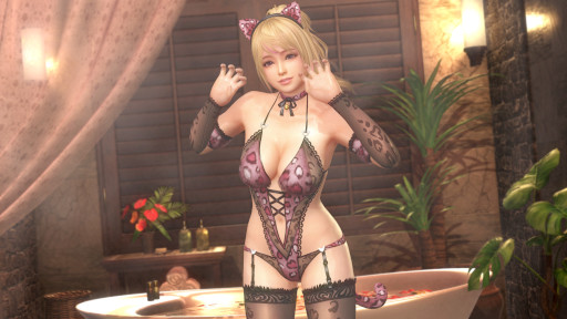 ���������꡼ No.002�Υ���ͥ������ / ��DOAXVV�ס��Ȥ椭�Ρɤο�SSR����ȥͥ���ʥ��ȥѥ󥵡��ɤ��о�