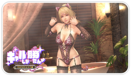 ���������꡼ No.012�Υ���ͥ������ / ��DOAXVV�ס��Ȥ椭�Ρɤο�SSR����ȥͥ���ʥ��ȥѥ󥵡��ɤ��о�