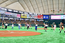 ꡼ No.002 | 816˳Ť줿ܥ˥Presents֥Хɥꡪס䥸㥤ĥܥʥͻҤ