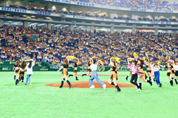 ꡼ No.003 | 816˳Ť줿ܥ˥Presents֥Хɥꡪס䥸㥤ĥܥʥͻҤ