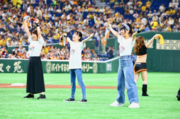 ꡼ No.004 | 816˳Ť줿ܥ˥Presents֥Хɥꡪס䥸㥤ĥܥʥͻҤ