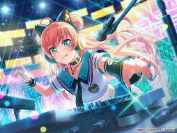 ���������꡼ No.005�Υ���ͥ������ / �֥Х�ɥꡪ����ѡס�5��ǯ��ǰ���ڥ���륳��ƥ�ĤΥ���ǥ��󥰤����ߥ����Ȥ˸���