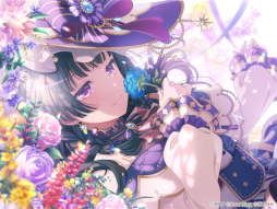 ���������꡼ No.010�Υ���ͥ������ / �֥Х�ɥꡪ��5.5��ǯ��ǰ���������ڡ���򳫺�