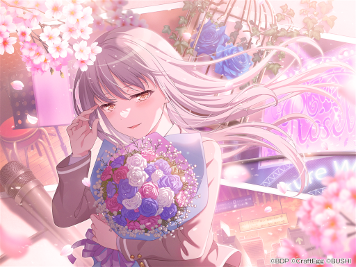 ꡼ No.010 | ֥Хɥꡪ 륺Хɥѡƥס´ȼǰ٥Ȥ228곫