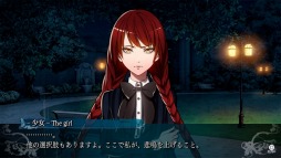 ꡼ No.009 | ֥ե륬ʤδ -COLLECTED EDITION-θǤPS Storeۿ