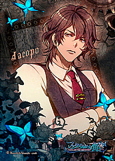 ꡼ No.009 | ֥ե륬ʤδ -COLLECTED EDITION-פȯ䡣бؤΥȤ