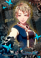 ꡼ No.020 | ֥ե륬ʤδ -COLLECTED EDITION-פȯ䡣бؤΥȤ