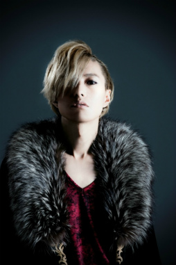 ꡼ No.003 | Project LayereDץܡꥹȥǥΥȥ꡼ճ