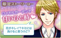 ꡼ No.007 | ֲͤΥץݡ Eternal KissסҲ̷ѾԤΥȡ꡼ۿ