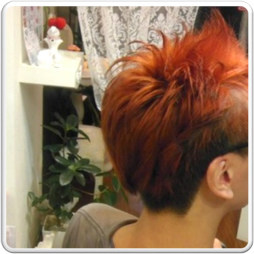 ���������꡼ No.003�Υ���ͥ������ / �֥����ꥢ��Τ��ޤ��׼¶�ư����3�Ƥ����㤸�㡼����ӥ����ͥ�Ǹ���