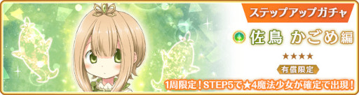 ꡼ No.016 | ֥ޥ쥳סȺĻ ԥååץɤ11251600곫