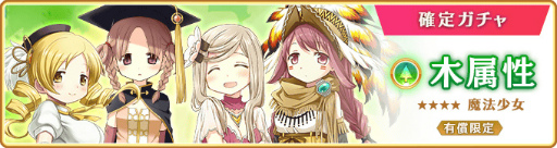 ꡼ No.014 | ֥ޥ쥳 ס°ˡ ԥååץɤȥ٥ȡȥ ٤֥եοɤ1251700곫