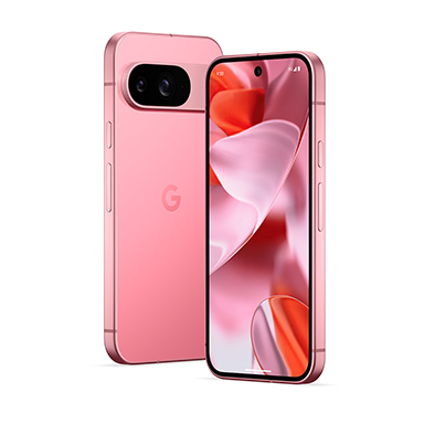 ꡼ No.005 | Pixel 9ץ꡼Ϥ㤨롩 ̿ꥢβʤȥڡ館