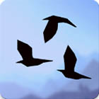 �ѥå�����