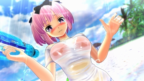 ���������꡼ No.015�Υ���ͥ������ / �����𥫥��� PEACH BEACH SPLASH�פθ��������Ȥ����������ץ���Ļ����ȷ�ʤɡ���ΩȾ¢�ر���6����饯�����ξ��󤬸�����