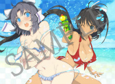 ���������꡼ No.015�Υ���ͥ������ / �����𥫥��� PEACH BEACH SPLASH�פˡ����𥫥��� NewWave G�С����ȡפΥ���餬����