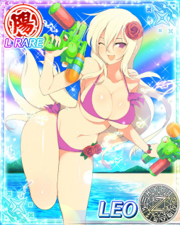 ���������꡼ No.020�Υ���ͥ������ / �����𥫥��� PEACH BEACH SPLASH�פˡ����𥫥��� NewWave G�С����ȡפΥ���餬����