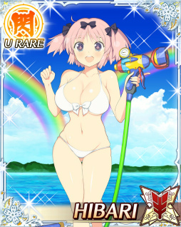 ���������꡼ No.024�Υ���ͥ������ / �����𥫥��� PEACH BEACH SPLASH�פˡ����𥫥��� NewWave G�С����ȡפΥ���餬����