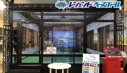 ꡼ No.004Υͥ / ֥쥸ɥ١ܡפͤΥۡ󥹥ŹǲƯ