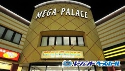 ꡼ No.005Υͥ / ֥쥸ɥ١ܡפͤΥۡ󥹥ŹǲƯ