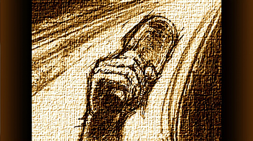 ꡼ No.009Υͥ / ֵžȽ4פiOSۿϡ1äΥץ˥󥰤ץ⡼ࡼӡθ⥹